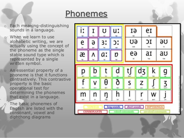 The sound patterns of language
