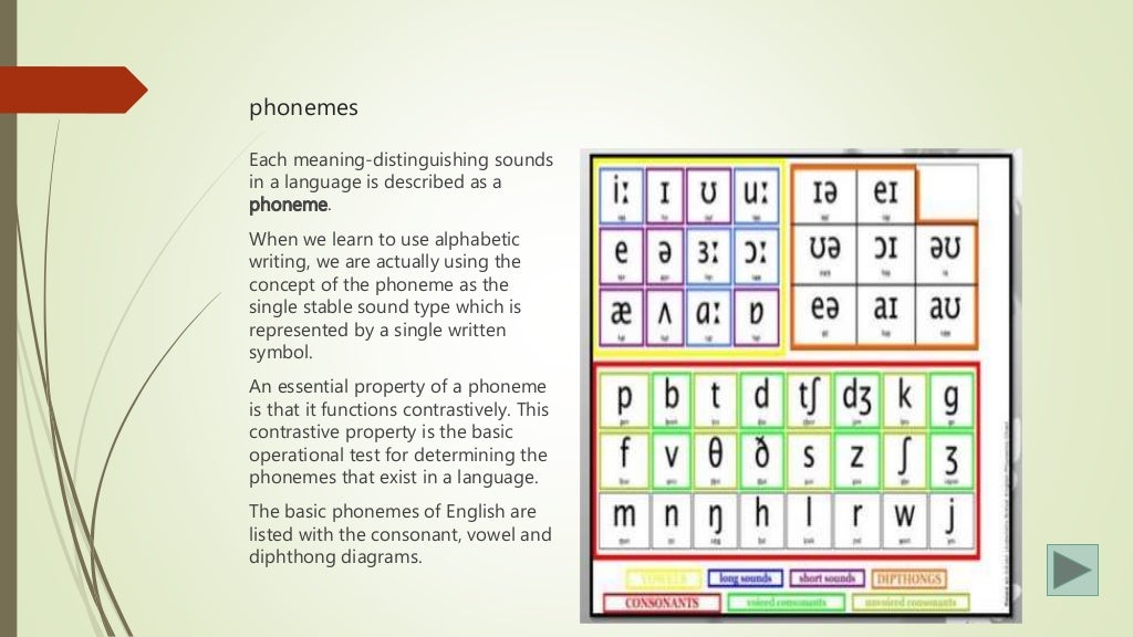 The sound patterns of language