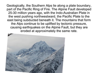 Geologically, the Southern Alps lie along a plate boundary,
part of the Pacific Ring of Fire. The Alpine Fault developed
 25-30 million years ago, with the Indo-Australian Plate in
 the west pushing northwestward, the Pacific Plate to the
east being subducted beneath it. The mountains that form
   the Alps continue to be uplifted by tectonic pressure,
  causing earthquakes on the Alpine Fault, but they are
           eroded at approximately the same rate.
 