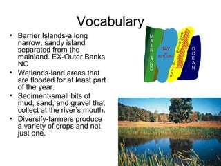 Vocabulary
• Barrier Islands-a long
narrow, sandy island
separated from the
mainland. EX-Outer Banks
NC
• Wetlands-land areas that
are flooded for at least part
of the year.
• Sediment-small bits of
mud, sand, and gravel that
collect at the river’s mouth.
• Diversify-farmers produce
a variety of crops and not
just one.
 