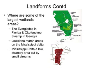 Landforms Contd
• Where are some of the
largest wetlands
areas?
– The Everglades in
Florida & Okefenokee
Swamp in Georgia
– Louisiana marsh areas
on the Mississippi delta.
– Mississippi Delta-a low
swampy area cut by
small streams
 