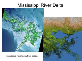 Mississippi River Delta
Mississippi River delta from space.
 