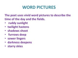 WORD PICTURES
The poet uses vivid word pictures to describe the
time of the day and the fields.
• ruddy sunlight
• twilight hastens
• shadows shoot
• furrows deep
• sower lingers
• darkness deepens
• starry skies
 