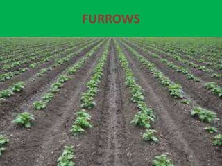 FURROWS
 