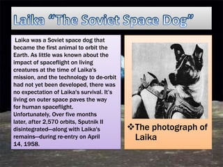 Laika was a Soviet space dog that
became the first animal to orbit the
Earth. As little was known about the
impact of spaceflight on living
creatures at the time of Laika's
mission, and the technology to de-orbit
had not yet been developed, there was
no expectation of Laika's survival. It’s
living on outer space paves the way
for human spaceflight.
Unfortunately, Over five months
later, after 2,570 orbits, Sputnik II
disintegrated—along with Laika's           The photograph of
remains—during re-entry on April            Laika
14, 1958.
 