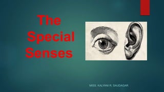 The
Special
Senses
MISS. KALYANI R. SAUDAGAR
 