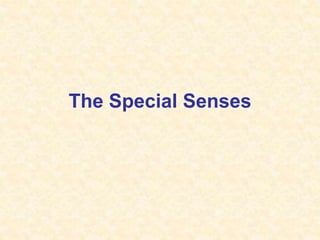 The Special Senses
 