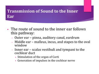 Transmission of Sound to the Inner
Ear
• The route of sound to the inner ear follows
this pathway:
– Outer ear – pinna, auditory canal, eardrum
– Middle ear – malleus, incus, and stapes to the oval
window
– Inner ear – scalas vestibuli and tympani to the
cochlear duct
• Stimulation of the organ of Corti
• Generation of impulses in the cochlear nerve
 