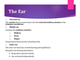 The Ear
a. External ear
The auricle directs sound waves into the external auditory meatus to the
tympanic membrane
b. Middle ear
Contains the auditory ossicles:-
1. Malleus
2. Incus
3. Stapes
Connected to throat by the eustachian tube
c. Inner ear
The inner ear functions in both hearing and equilibrium
Receptors for hearing and balance:
 Respond to separate stimuli
 Are activated independently
 