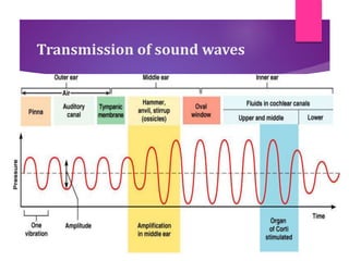 Transmission of sound waves
 