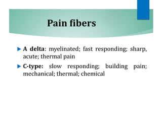Pain fibers
 A delta: myelinated; fast responding; sharp,
acute; thermal pain
 C-type: slow responding; building pain;
mechanical; thermal; chemical
 