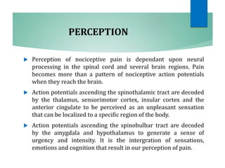PERCEPTION
 Perception of nociceptive pain is dependant upon neural
processing in the spinal cord and several brain regions. Pain
becomes more than a pattern of nociceptive action potentials
when they reach the brain.
 Action potentials ascending the spinothalamic tract are decoded
by the thalamus, sensorimotor cortex, insular cortex and the
anterior cingulate to be perceived as an unpleasant sensation
that can be localized to a specific region of the body.
 Action potentials ascending the spinobulbar tract are decoded
by the amygdala and hypothalamus to generate a sense of
urgency and intensity. It is the intergration of sensations,
emotions and cognition that result in our perception of pain.
 