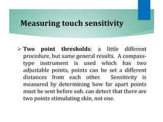 Measuring touch sensitivity
 Two point thresholds: a little different
procedure, but same general results. A compass-
type instrument is used which has two
adjustable points, points can be set a different
distances from each other. Sensitivity is
measured by determining how far apart points
must be sent before sub. can detect that there are
two points stimulating skin, not one.
 