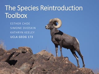 The Species Reintroduction
Toolbox
ESTHER CHOE
SIMONE DVOSKIN
KATHRYN KEELEY
UCLA GEOG 173
 