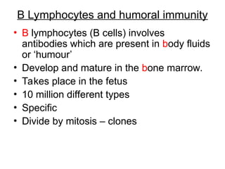 The specific immune response B and T cells.ppt