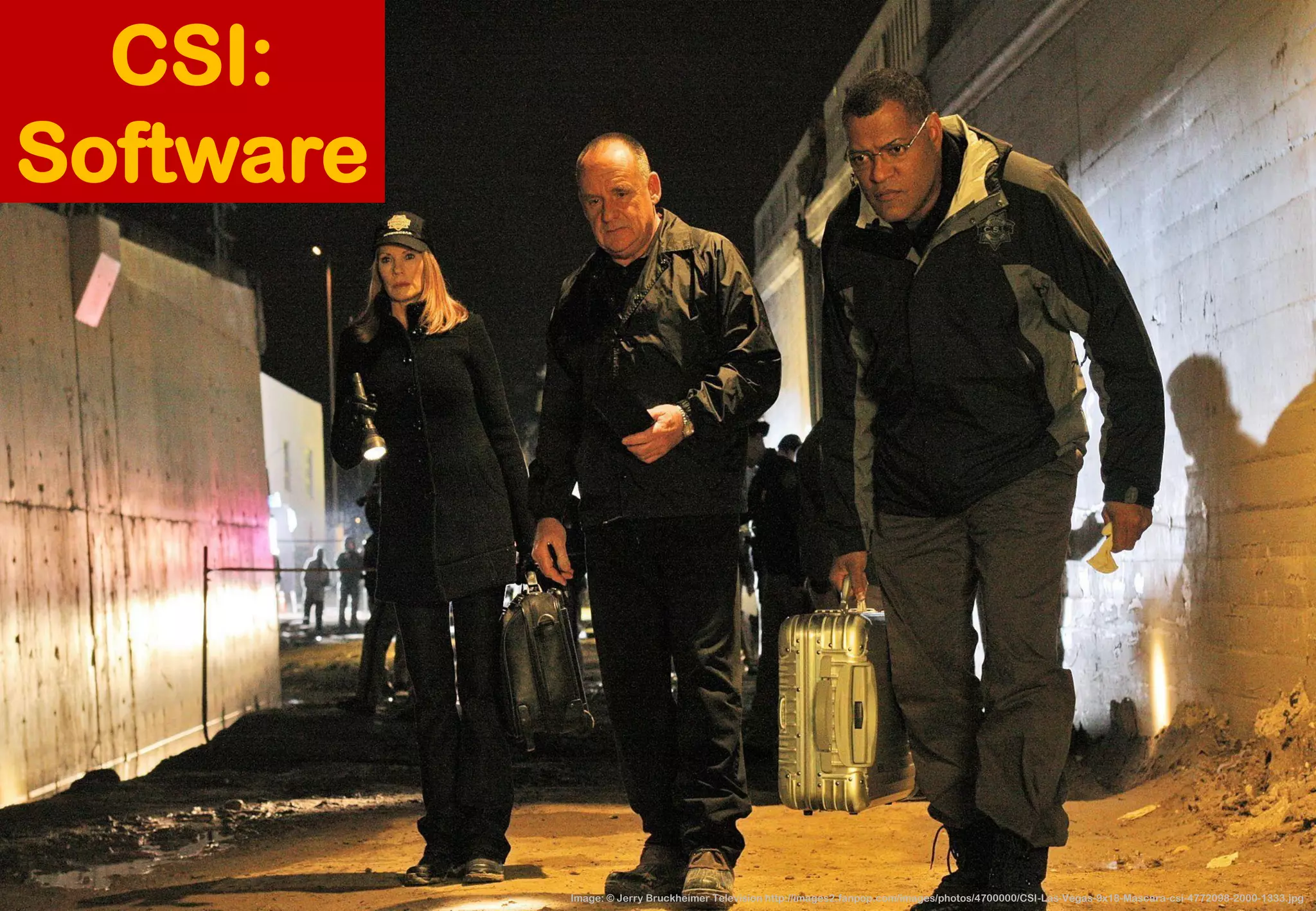 Image: © Jerry Bruckheimer Television http://images2.fanpop.com/images/photos/4700000/CSI-Las-Vegas-9x18-Mascara-csi-4772098-2000-1333.jpg 
CSI: Software  