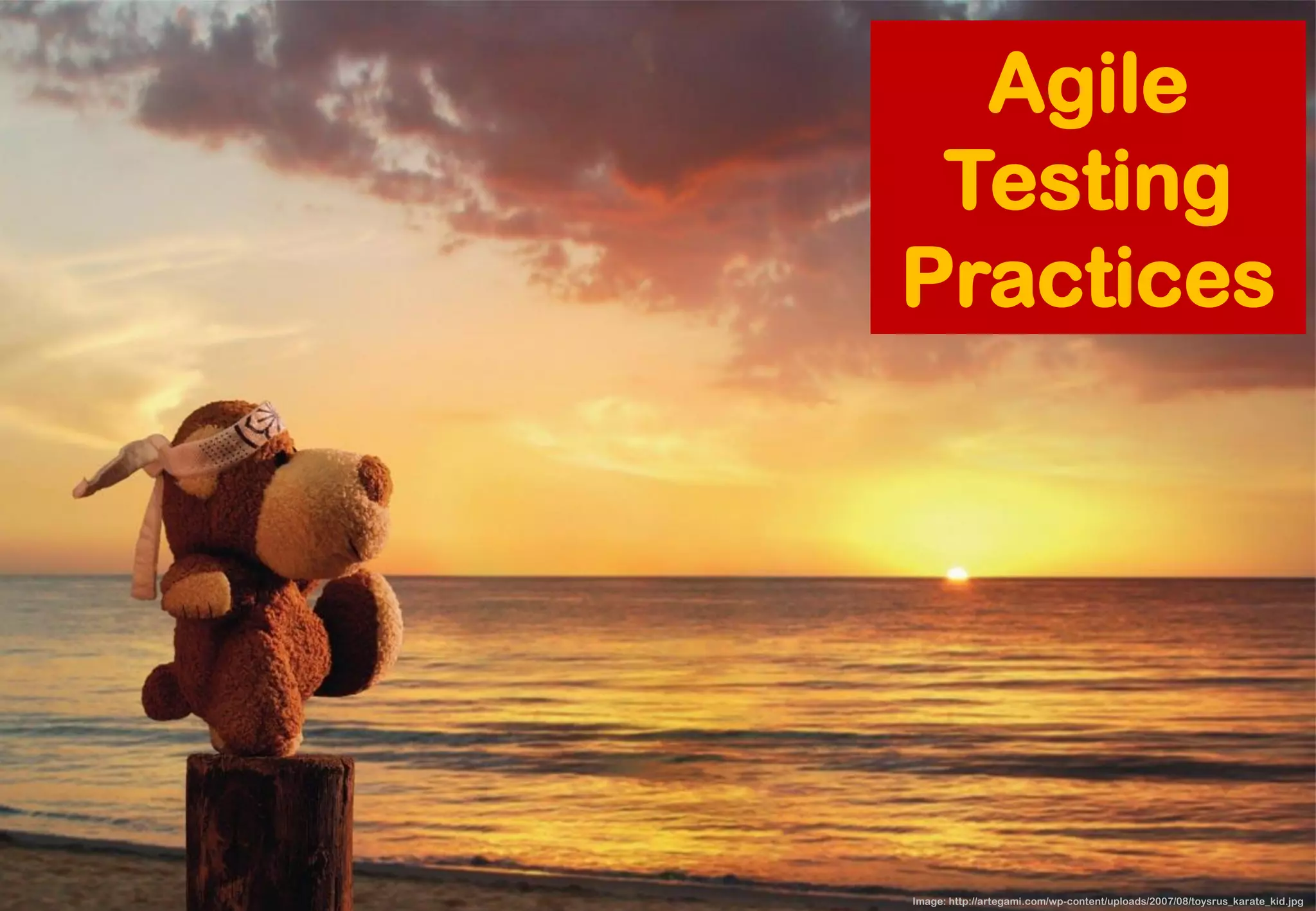 Image: http://artegami.com/wp-content/uploads/2007/08/toysrus_karate_kid.jpg 
Agile Testing Practices  