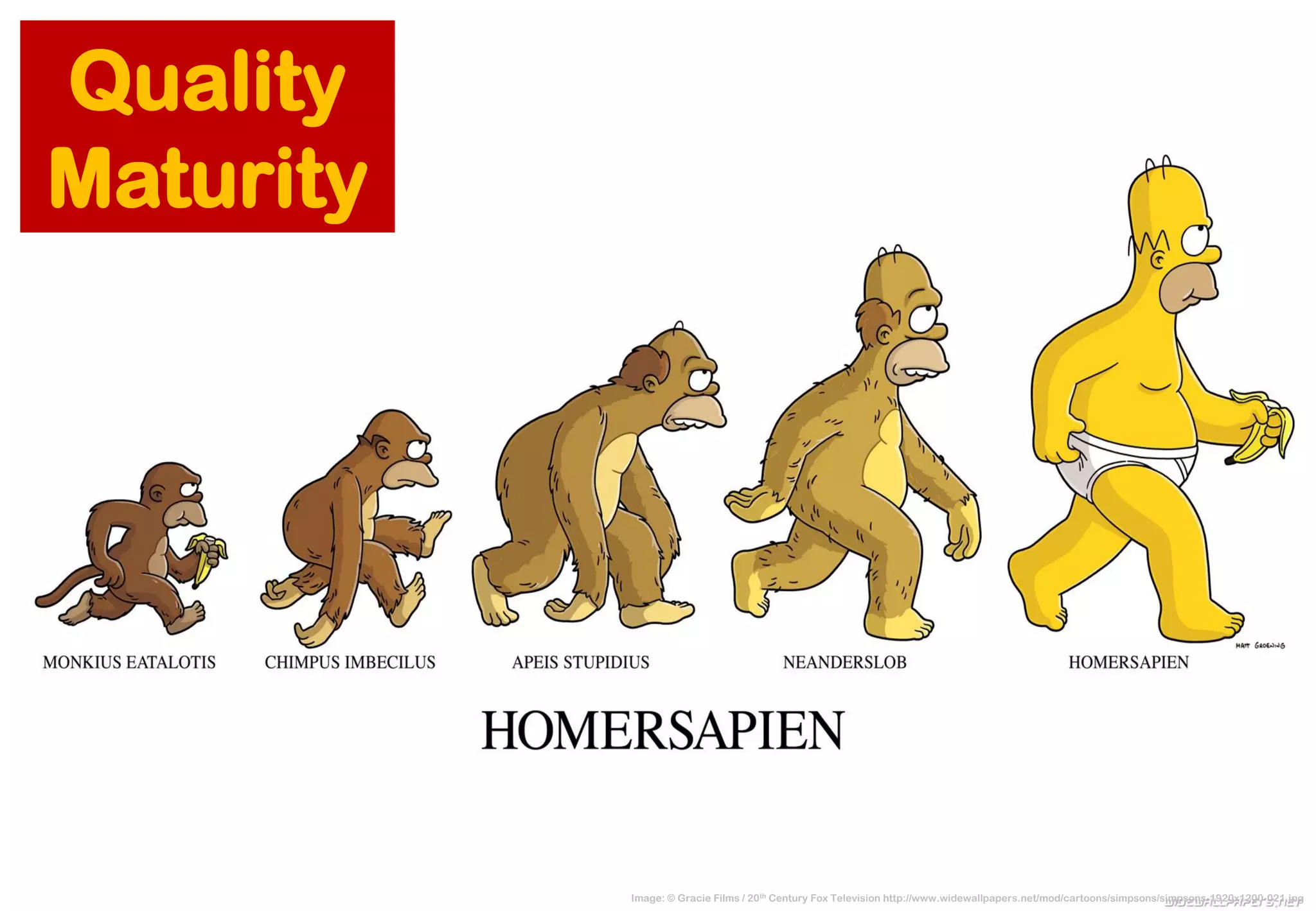 Image: © Gracie Films / 20thCentury Fox Television http://www.widewallpapers.net/mod/cartoons/simpsons/simpsons-1920x1200-021.jpg 
Quality Maturity  