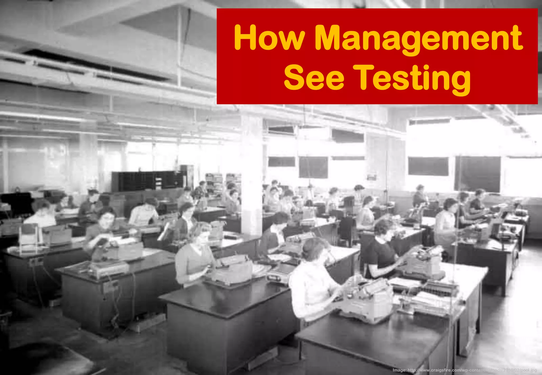 How Management See Testing 
Image: http://www.craigsfire.com/wp-content/uploads/2010/02/pool.jpg  