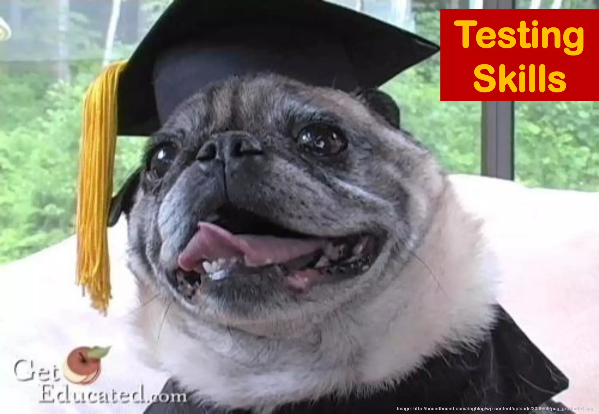 Image: http://houndbound.com/dogblog/wp-content/uploads/2009/09/pug_graduate1.jpg 
Testing Skills  