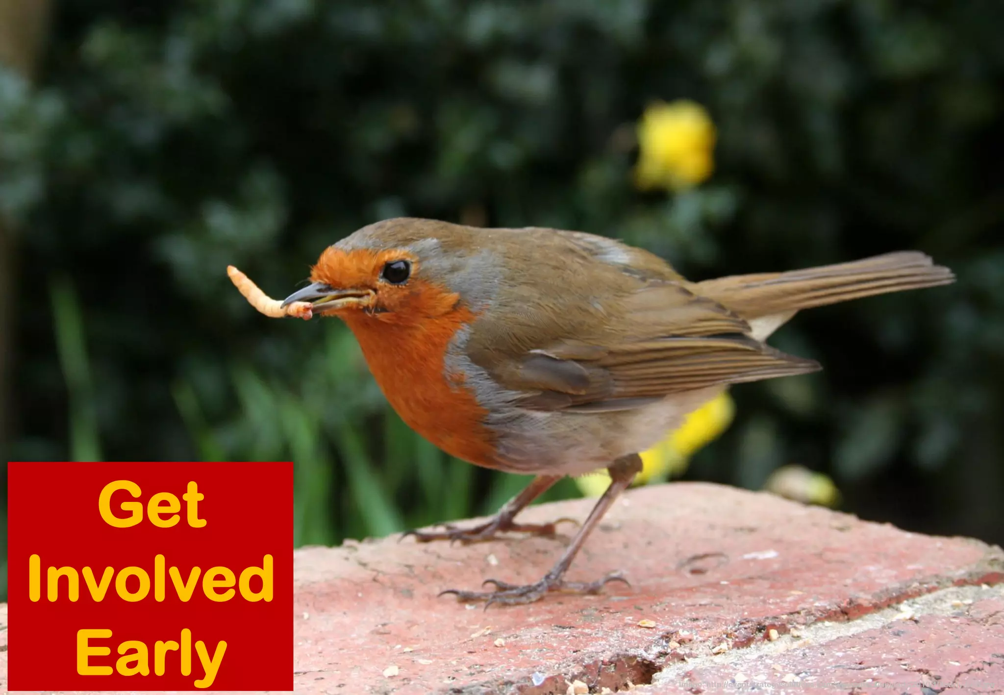 Image: http://eventstrategysolutions.com/wp-content/uploads/2010/10/early-bird.jpg 
Get Involved Early  