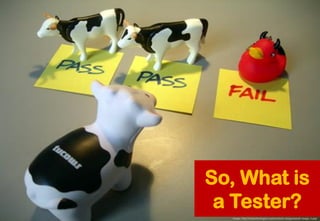 Image: http://rnstechnologies.com/content_images/small_image_2.jpg/ 
So, What is a Tester?  