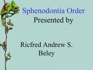 Sphenodontia Order
   Presented by


Ricfred Andrew S.
      Beley
 