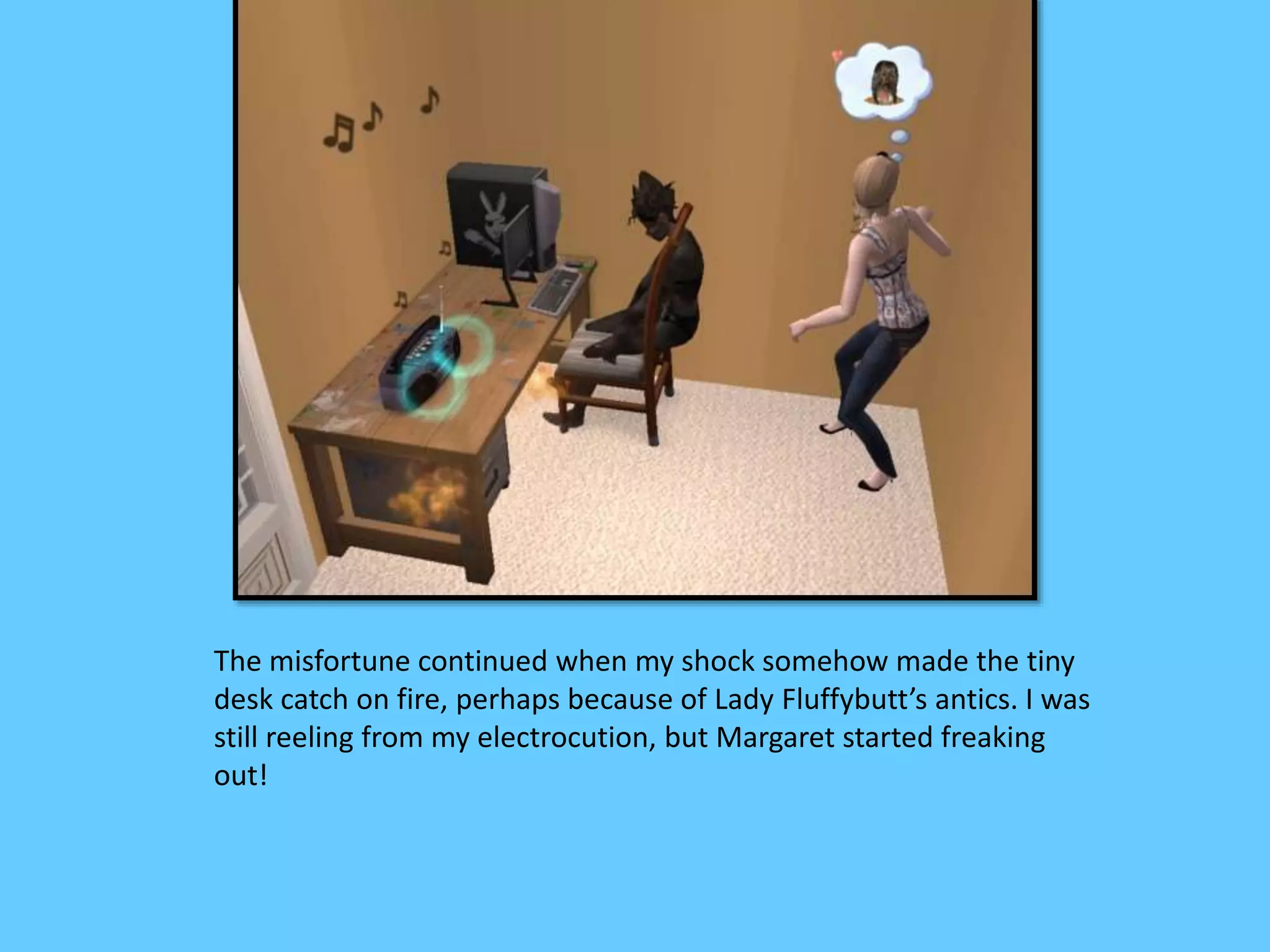 The misfortune continued when my shock somehow made the tiny
desk catch on fire, perhaps because of Lady Fluffybutt’s antics. I was
still reeling from my electrocution, but Margaret started freaking
out!
 