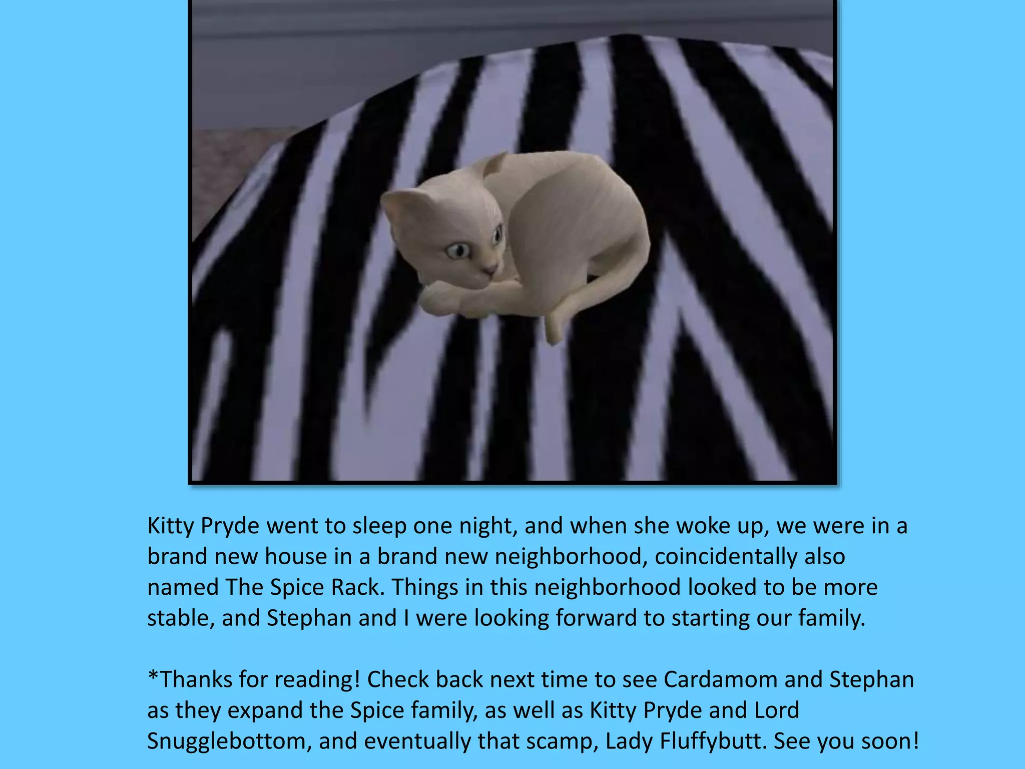 Kitty Pryde went to sleep one night, and when she woke up, we were in a
brand new house in a brand new neighborhood, coincidentally also
named The Spice Rack. Things in this neighborhood looked to be more
stable, and Stephan and I were looking forward to starting our family.
*Thanks for reading! Check back next time to see Cardamom and Stephan
as they expand the Spice family, as well as Kitty Pryde and Lord
Snugglebottom, and eventually that scamp, Lady Fluffybutt. See you soon!
 
