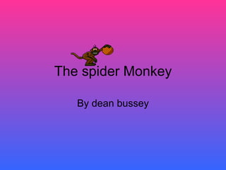 The spider Monkey By dean bussey 