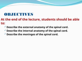 THE gross anatomy of the SPINAL CORD 2024.ppt