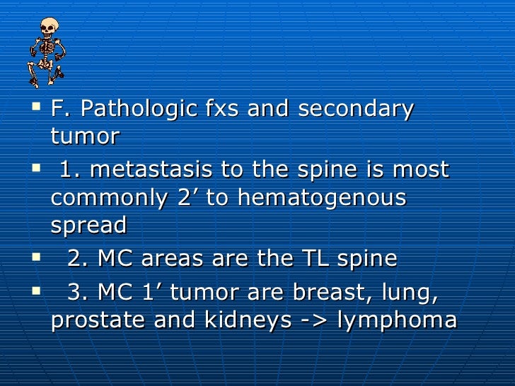 the spine the spine
