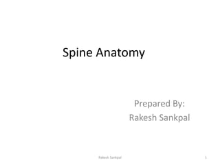 Spine Anatomy
Prepared By:
Rakesh Sankpal
1Rakesh Sankpal
 