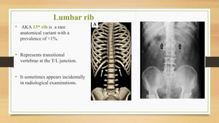 Comprehensive Spine Radiological Anatomy: Embryology, Structure, and ...