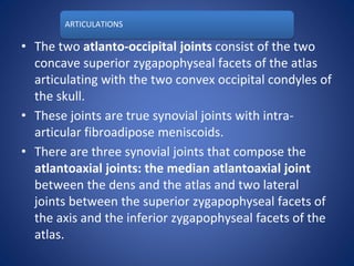 ARTICULATIONS
• The two atlanto-occipital joints consist of the two
concave superior zygapophyseal facets of the atlas
articulating with the two convex occipital condyles of
the skull.
• These joints are true synovial joints with intra-
articular fibroadipose meniscoids.
• There are three synovial joints that compose the
atlantoaxial joints: the median atlantoaxial joint
between the dens and the atlas and two lateral
joints between the superior zygapophyseal facets of
the axis and the inferior zygapophyseal facets of the
atlas.
 