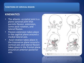 FUNCTIONS OF CERVICAL REGION
KINEMATICS
• The atlanto -occipital joint is a
plane synovial joint that
permits flexion -extension,
some axial rotation, and
lateral flexion.
• Flexion-extension takes place
in the sagittal plane around a
medial-lateral axis.
• Axial rotation takes place in
the transverse plane around a
vertical axis and lateral flexion
takes place in the frontal plane
around an anterior-posterior
axis.
 