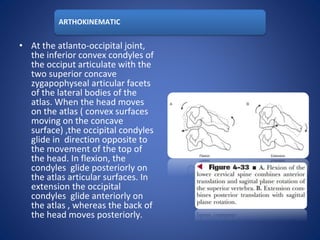 ARTHOKINEMATIC
• At the atlanto-occipital joint,
the inferior convex condyles of
the occiput articulate with the
two superior concave
zygapophyseal articular facets
of the lateral bodies of the
atlas. When the head moves
on the atlas ( convex surfaces
moving on the concave
surface) ,the occipital condyles
glide in direction opposite to
the movement of the top of
the head. In flexion, the
condyles glide posteriorly on
the atlas articular surfaces. In
extension the occipital
condyles glide anteriorly on
the atlas , whereas the back of
the head moves posteriorly.
 
