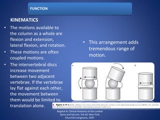 FUNCTION
KINEMATICS
• The motions available to
the column as a whole are
flexion and extension,
lateral flexion, and rotation.
• These motions are often
coupled motions.
• The intervertebral discs
increase movement
between two adjacent
vertebrae. If the vertebrae
lay flat against each other,
the movement between
them would be limited to
translation alone.
• This arrangement adds
tremendous range of
motion.
Bogduk N: Clinical Anatomy of the Lumbar
Spine and Sacrum, 3rd ed. New York,
Churchill Livingstone, 1997.
 