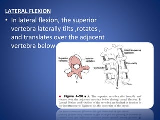LATERAL FLEXION
• In lateral flexion, the superior
vertebra laterally tilts ,rotates ,
and translates over the adjacent
vertebra below.
 
