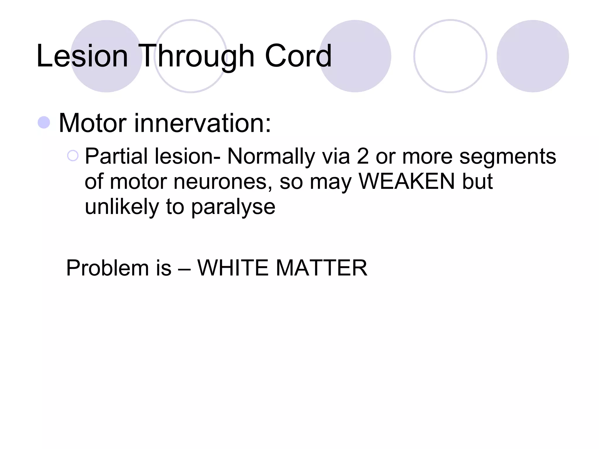 Lesion Through Cord Motor innervation: Partial lesion- Normally via 2 or more segments of motor neurones, so may WEAKEN but unlikely to paralyse Problem is – WHITE MATTER  