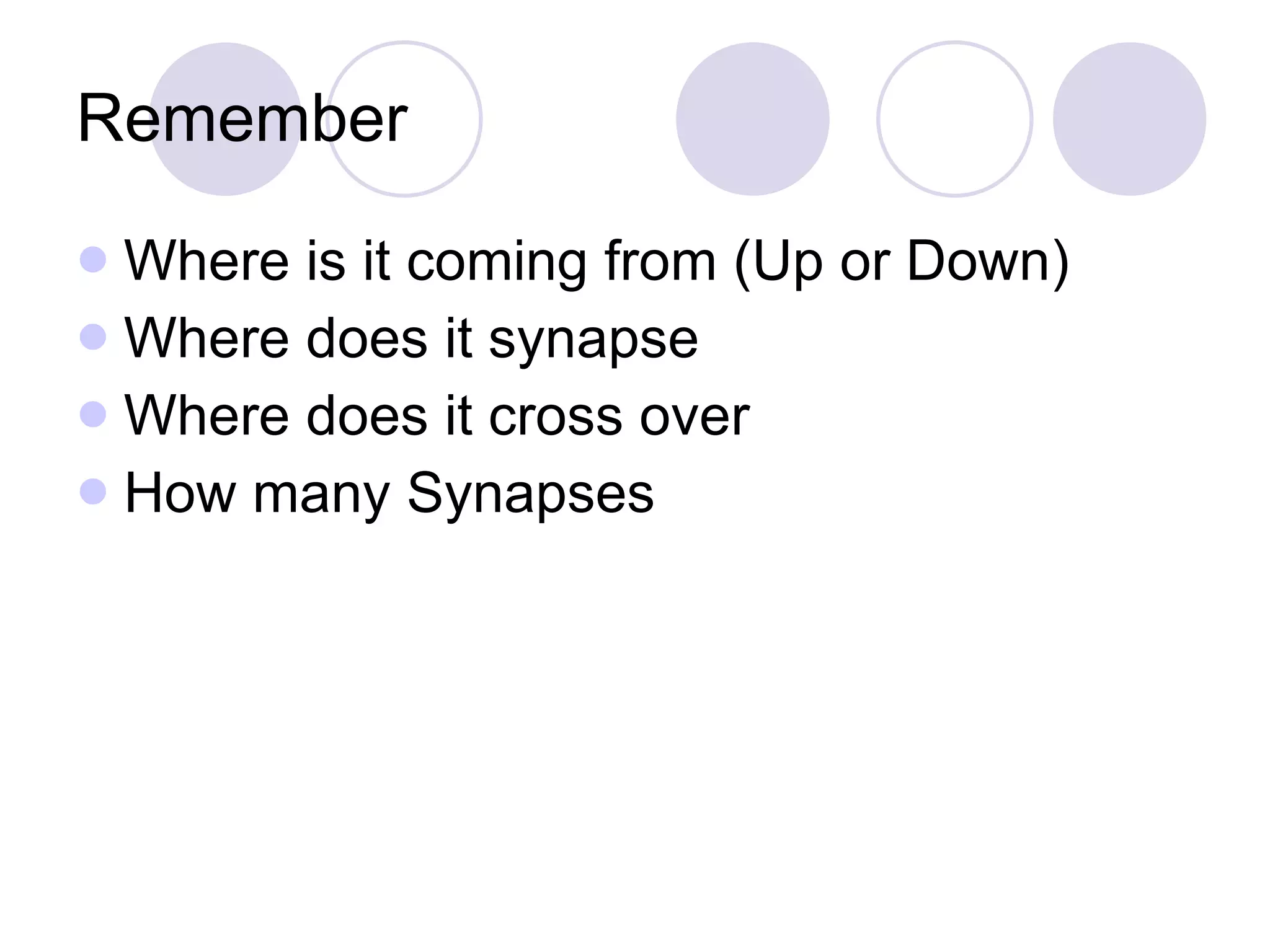 Remember Where is it coming from (Up or Down) Where does it synapse Where does it cross over How many Synapses 