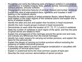 The spine & spinal cord | PPT
