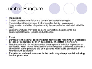 Lp Risks Nerve The spine & spinal cord | PPT