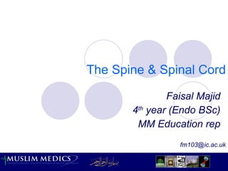 The Spine & Spinal Cord Faisal Majid 4 th  year (Endo BSc) MM Education rep [email_address] 