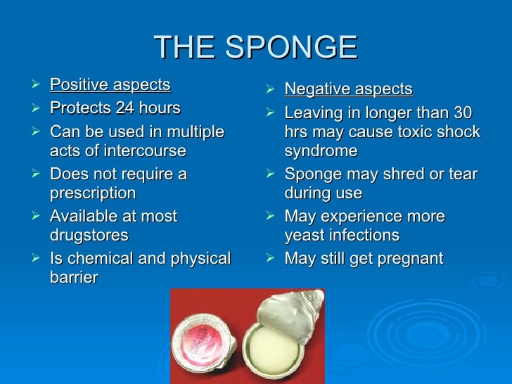 The Sponge Power Point