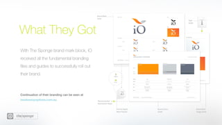 The Sponge Snapshot 14