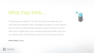 The Sponge Snapshot 14