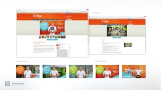 The Sponge Snapshot 14