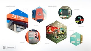 The Sponge Snapshot 14