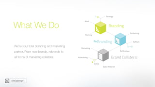 The Sponge Snapshot 14